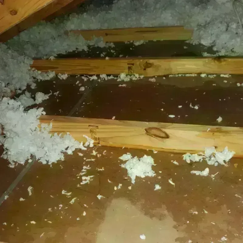 Attic Water Damage in Bovina, TX